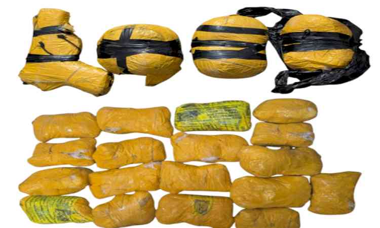 Punjab Police bust international drug cartel, 10 kg ICE seized