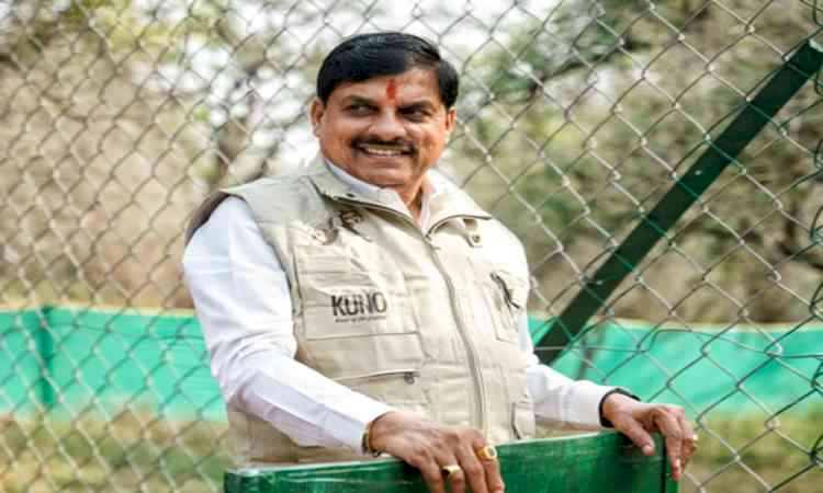 MP CM Mohan Yadav seeks Rahul Gandhi's resignation as LoP for 'traitor' remark