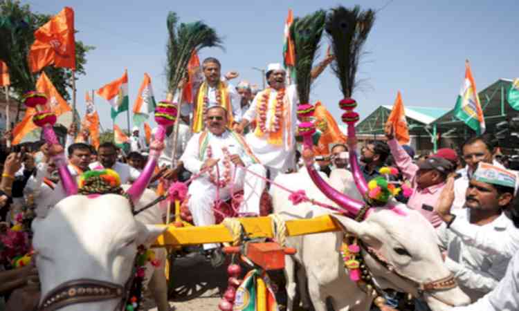 Maha: MVA protests over onion prices, demands MSP of Rs 3,000