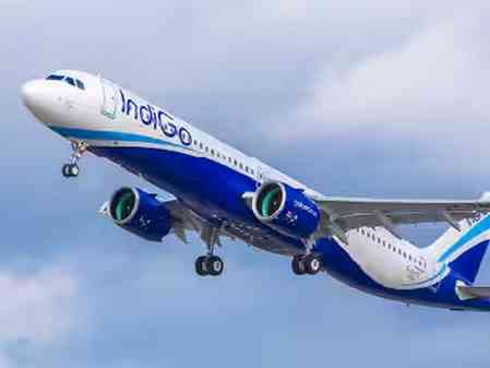 IndiGo to cut domestic flight capacity by up to 7 pc amid demand adjustments