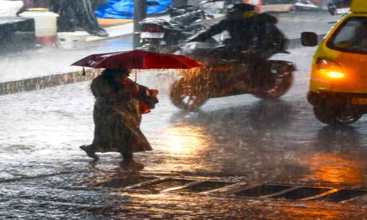 Delhi-NCR receives showers as thunderstorms bring relief from scorching heat