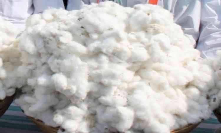 Centre exempts all customs duties on cotton import from June 1 till Oct 30