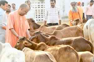 Protecting cows is our fundamental duty: Reactions pour in over CM Yogi’s remarks