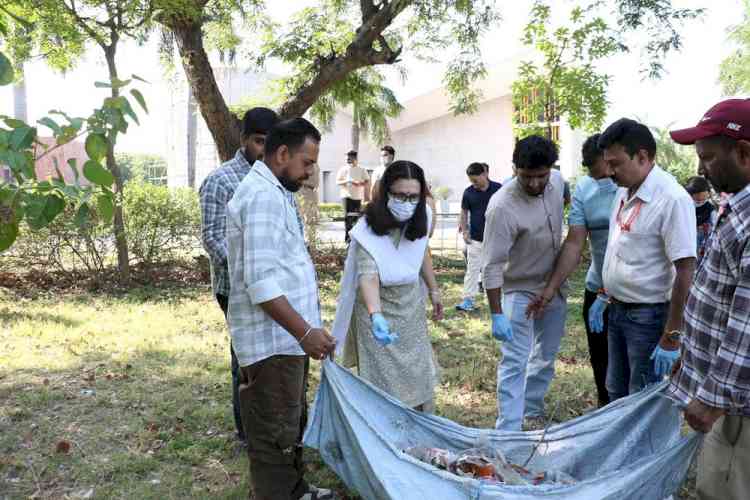 Panjab University holds cleanliness drive ahead of World Environment Day
