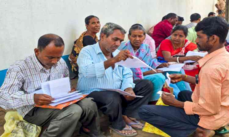 Punjab pre-SIR mapping at 84.62 pc: Chief Electoral Officer