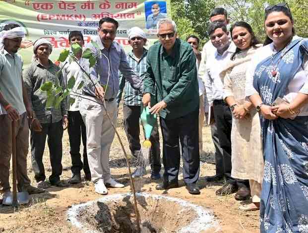 कुलपति प्रो. मिलाप पूनियाँ ने पौधरोपण कर दिया हरियाली बढ़ाने का संदेश