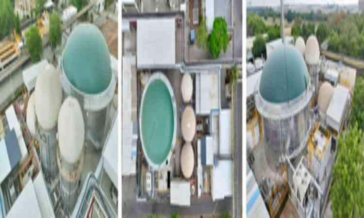 Maruti Suzuki India to invest Rs 150 crore in biogas projects, expands green energy push