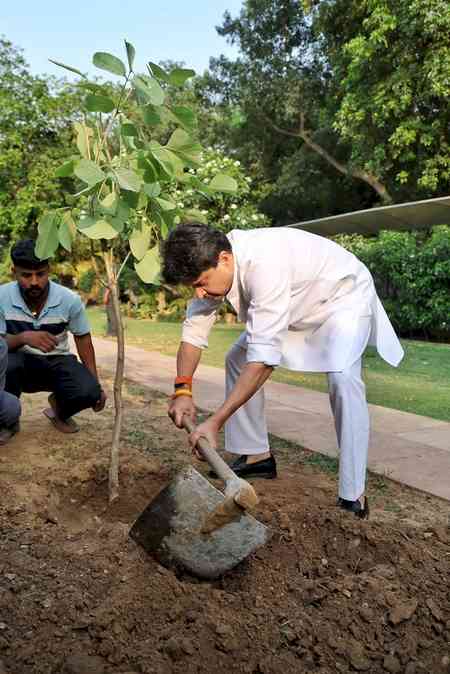 'Ek Ped Maa Ke Naam' not just plantation drive but symbol of sensitivity to nature: Jyotiraditya Scindia