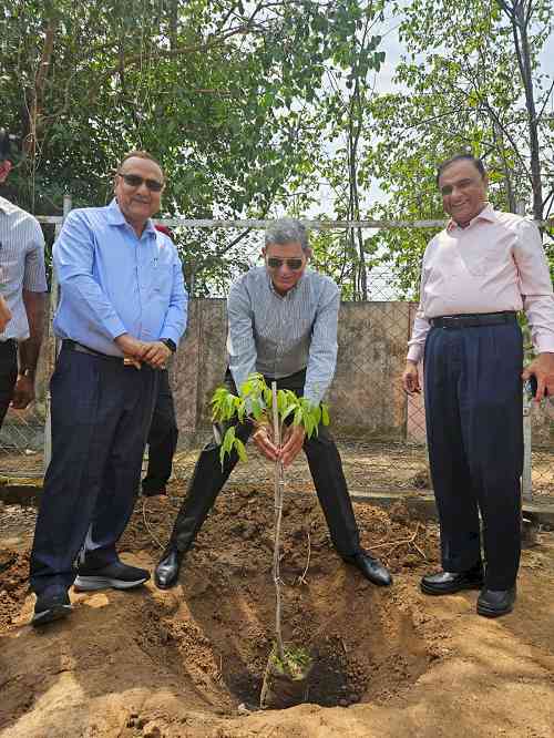 CPDL Celebrates World Environment Day with Plantation Drive