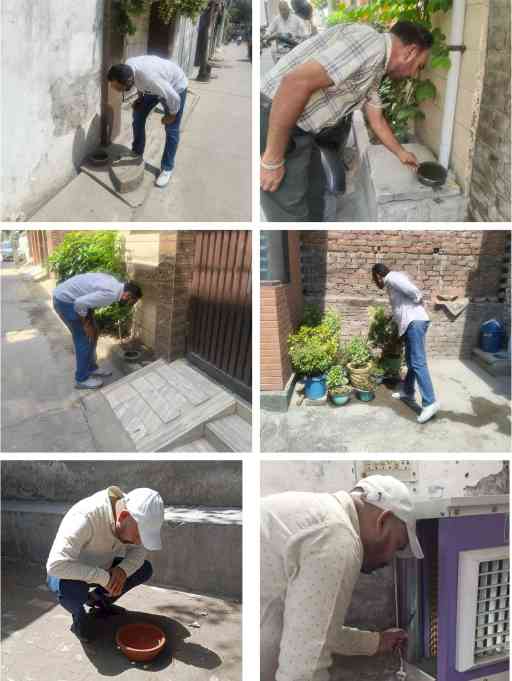 Administration launches aggressive dengue prevention campaign