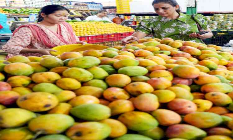 Tripura: Exotic mango under trial for self-reliance 