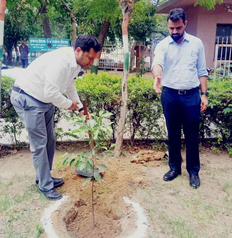 पर्यावरण संरक्षण के लिए सबसे प्रभावी माध्यम है पौधारोपणः डीसी सचिन गुप्ता