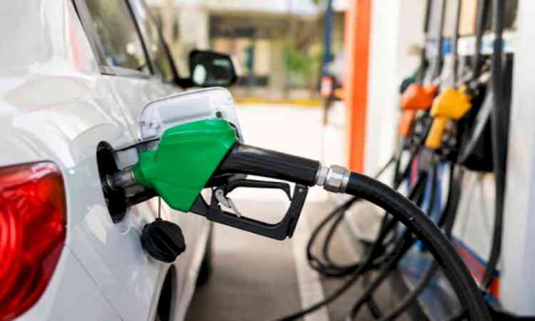 Fuel, LPG supplies remain normal across Delhi: BPCL