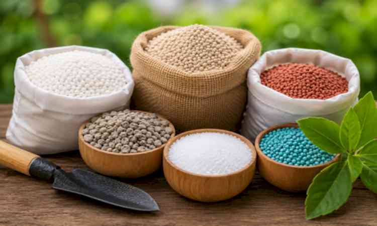 India's fertiliser stocks sufficient to meet farmers’ needs: Govt