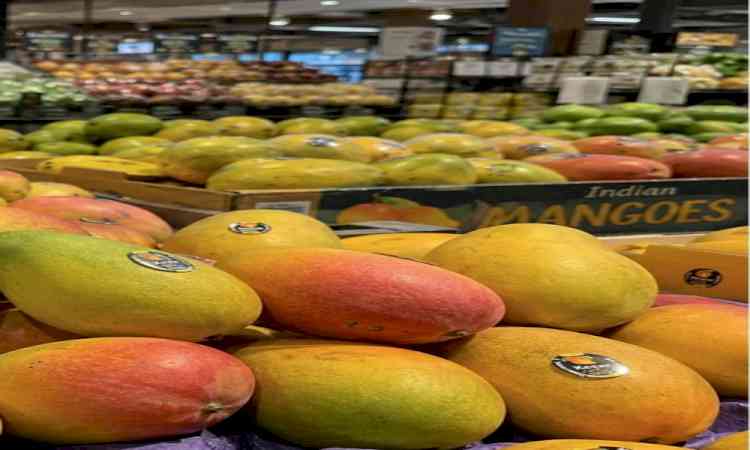 Indian mangoes spark summer rush across US