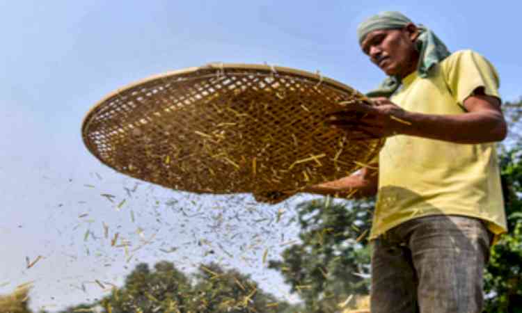 BIS rolls out new standard protocol for seed banks to help farmers