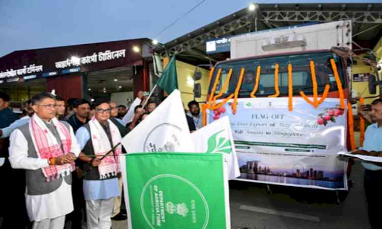 Assam CM flags off export of GI-tagged Tezpur litchis to Singapore, eyes global markets