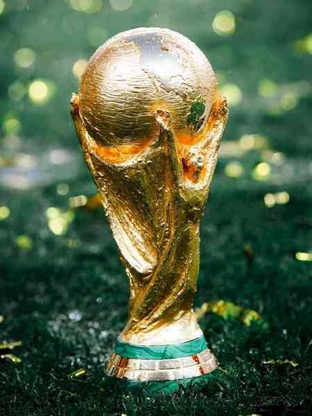 Football fever grips Sikkim as FIFA World Cup captures imagination of fans, says sports official