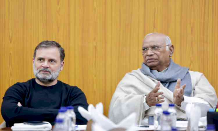 Congress calls for nationwide campaign against paper leaks, exam irregularities