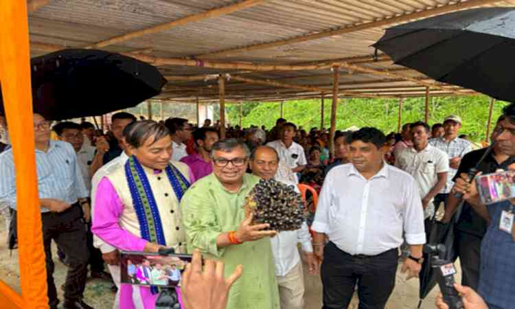 Tripura pushing for edible oil self-sufficiency through oil palm cultivation: Agri Minister