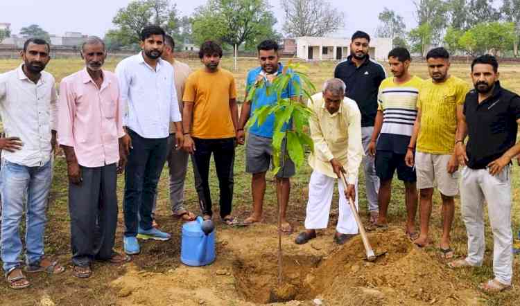 केंद्र सरकार के 12 वर्ष पूर्ण होने पर पौधारोपण अभियान आयोजित