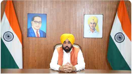 I Am Not Person In Fake Video: CM Bhagwant Singh Mann