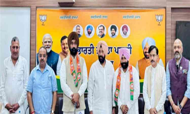 CM Mann should not confront Akal Takht, says Punjab BJP chief Dhillon