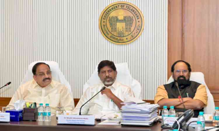Telangana to encourage farmers to cultivate premium varieties of paddy