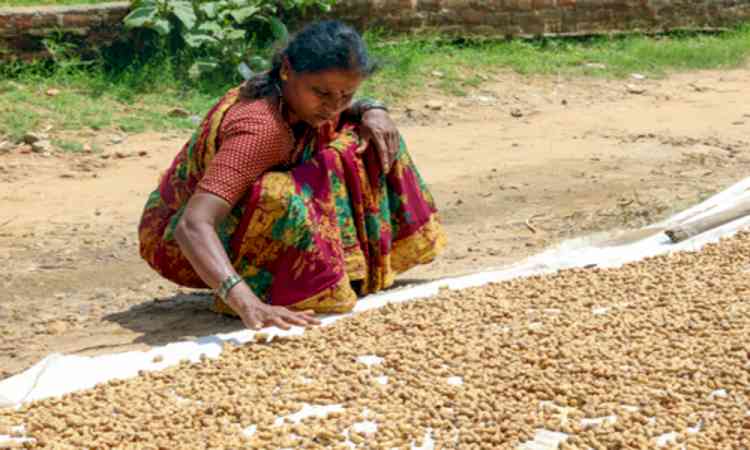 Assam Speaker urges farmers to adopt multiple cropping