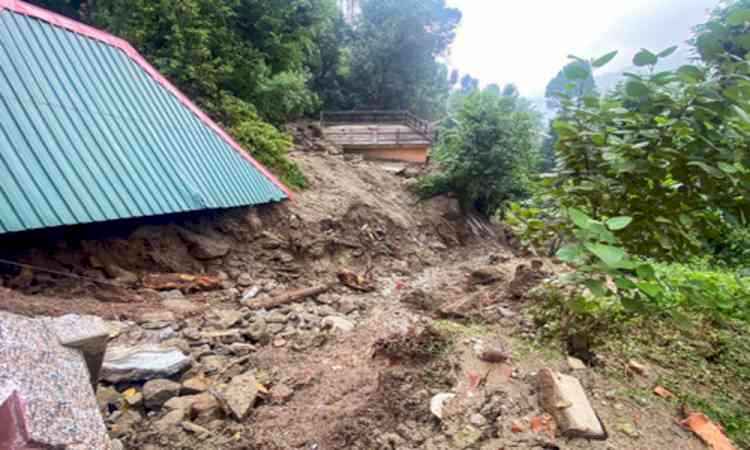 SUV rolls down Himachal gorge, all seven occupants killed