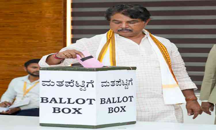 K’taka: BJP to identify cross-voters in council polls