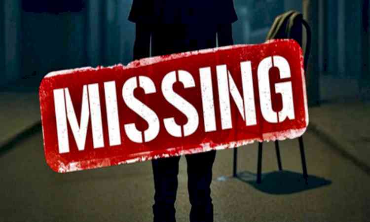 Telangana govt urges Indian Consulate General in Turkey to trace missing woman