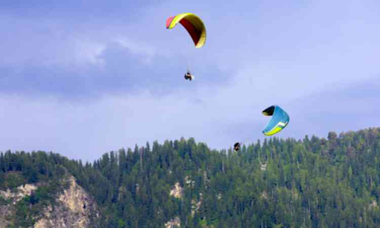 Himachal's forest bio-resources hold cumulative annual value of Rs 22,600 crore, says report