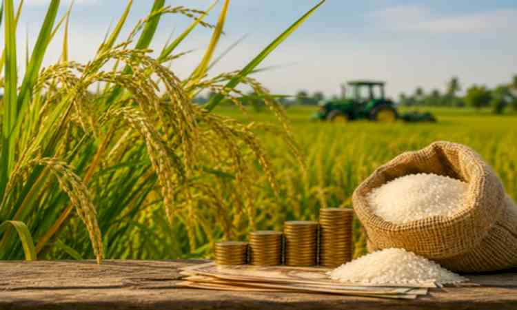 More than 66 lakh Rajasthan farmers benefit as Rs 1,320 crore released under PM-Kisan