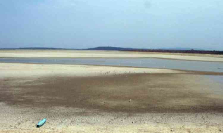 TN: Poondi reservoir receives steady Krishna water inflow boosting Chennai water supplies