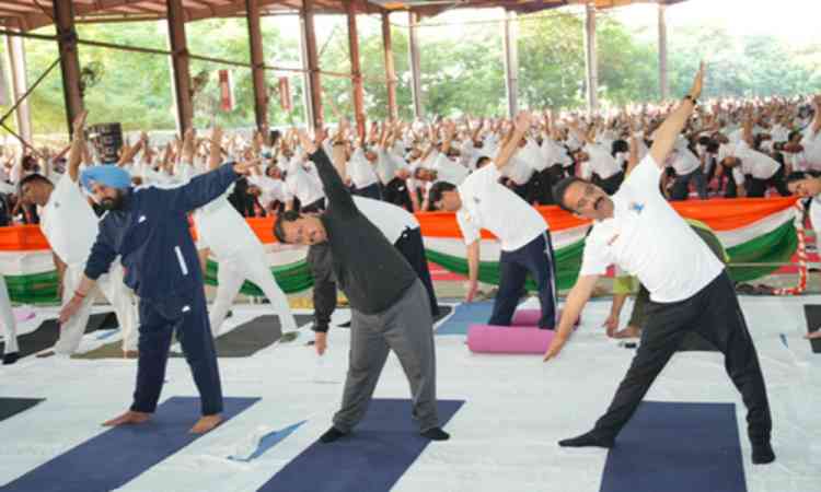 BJP chief Nitin Nabin participates in Yoga Day celebration in Punjab