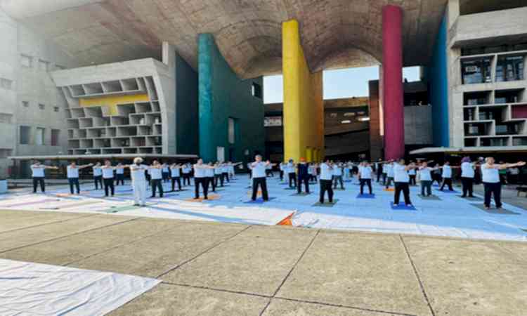 Punjab and Haryana High Court judges, advocates perform yoga