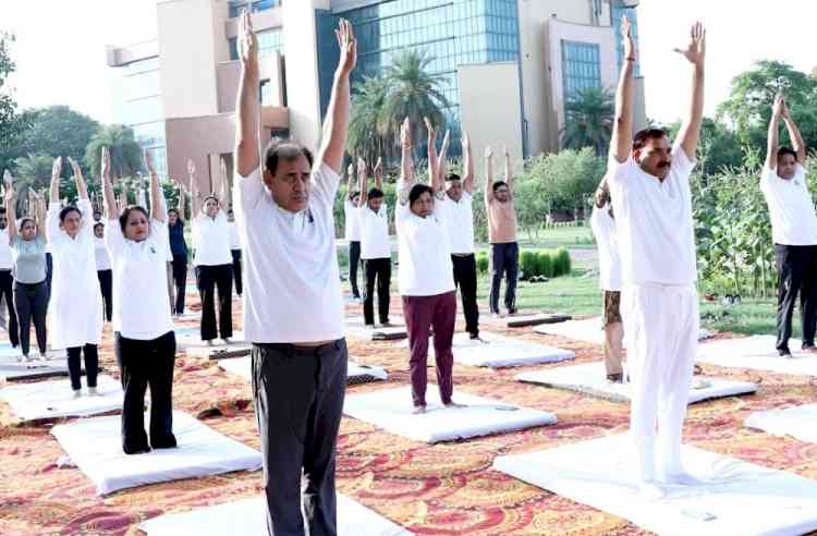 योग फॉर हेल्दी एजिंग थीम के साथ जीजेयू में मनाया अंतरराष्ट्रीय योग दिवस