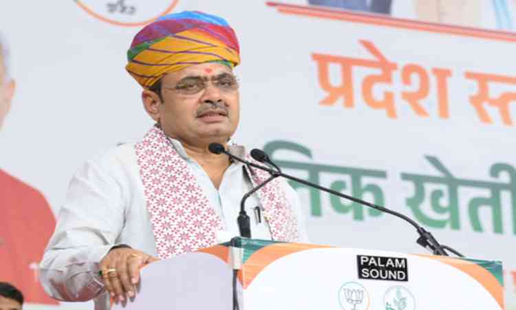 NITI Aayog member calls Rajasthan 'Achiever State', praises drinking water and rural development