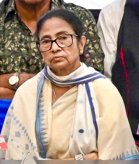 TMC bank accounts under scanner as cyber police probe five years of transactions