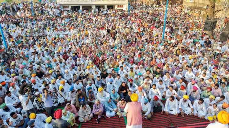 I Bowed Before Sri Akal Takht Sahib as It's Supreme for Every Punjabi & Sikh, but Some People Are Misusing It for Their Vested Interests: CM Bhagwant Singh Mann