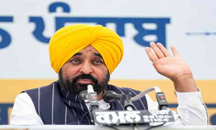'Truth is before people’: Punjab Minister rejects allegations in CM Mann video row; Oppn demands resignation