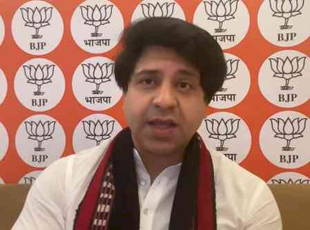Rahul, Pak's propaganda on Rafale exposed: BJP says IAF tender debunks 'jet down' claims 