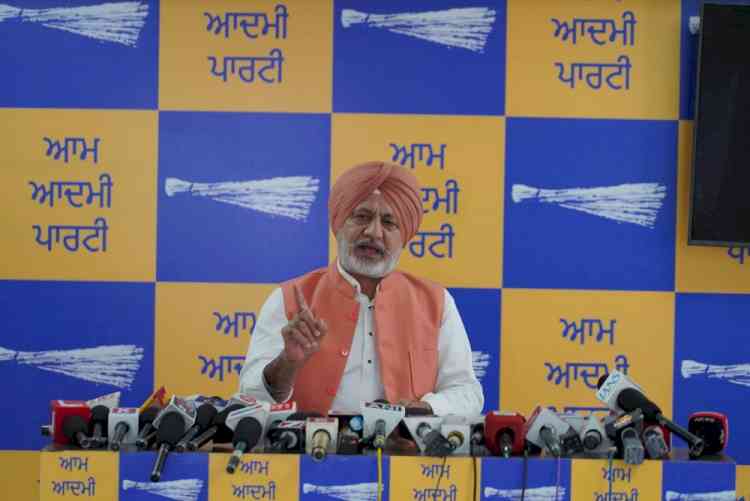 Akali Dal's Fake Video Campaign Exposes Its Desperation; They Have No Issue Left Except Targeting Punjab CM: Baltej Pannu