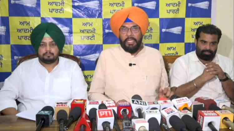 MLA Kuldeep Dhaliwal Recounted the Achievements of the Bhagwant Mann Government, Said Punjab Is Now Moving Forward on a New Path of Development