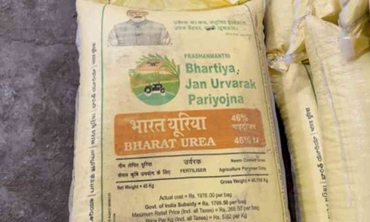 Gujarat: New fertiliser distribution app aims to reduce queues and improve efficiency  