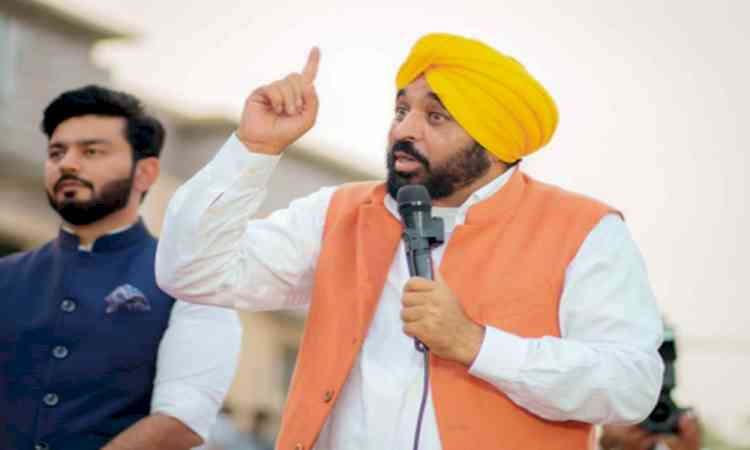 Bhagwant Mann video row: Gurugram Police arrest two for forcing 'tailored' forensic report; BJP says state-sponsored cover-up