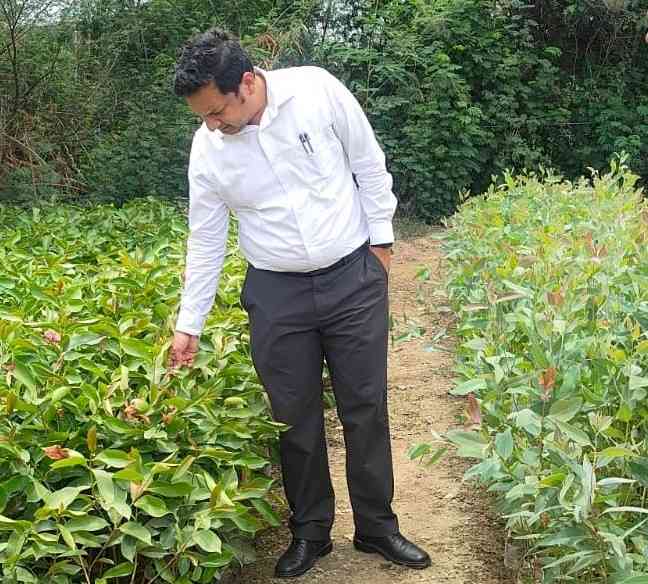 एक पेड़ मां के नामः जिला प्रशासन जन भागीदारी से हरित रोहतक अभियान का शुभारंभ करेगा