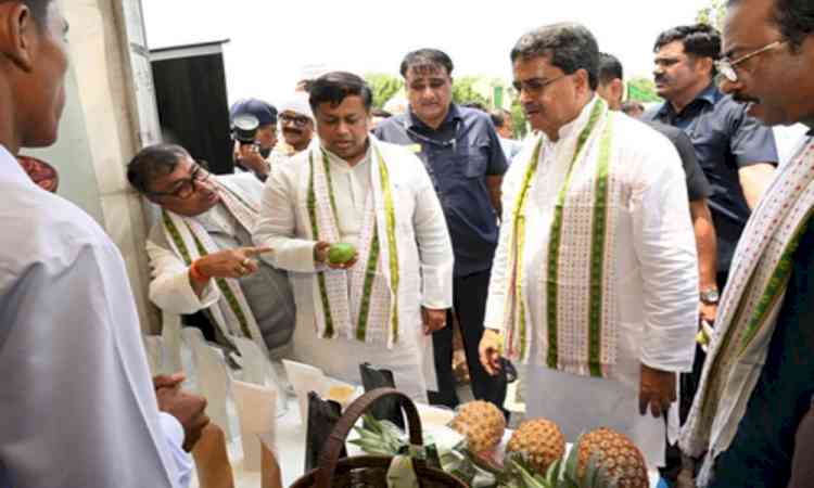 GI-tagged queen pineapple taking state to global stage: Tripura CM