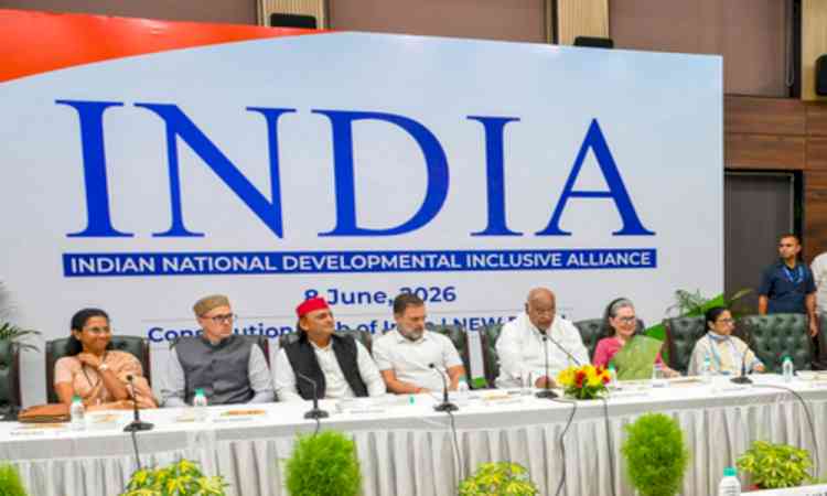 Congress only focused on forming alliances to win elections: Sharmistha Mukherjee (IANS Exclusive)